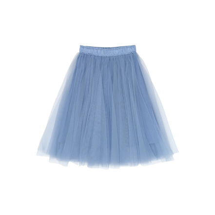 The New skirt blue
