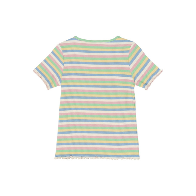 The New t-shirts multicolor 2