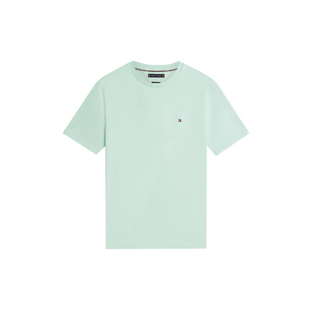 Tommy Hilfiger t-shirts green