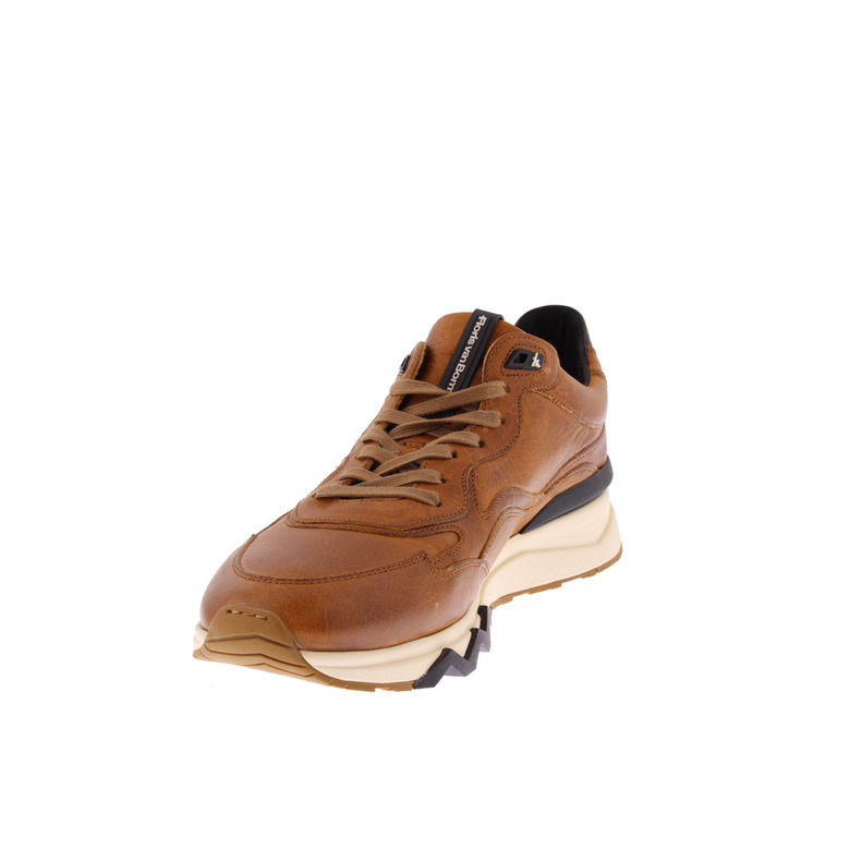 Floris Van Bommel sneakers cognac 3
