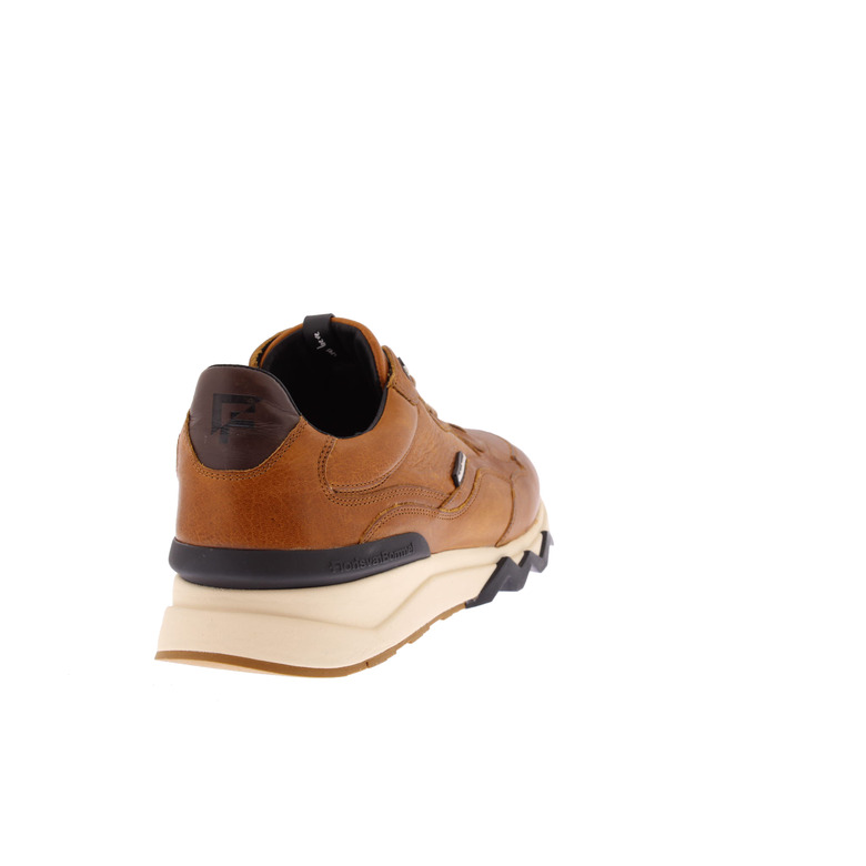 Floris Van Bommel sneakers cognac 4