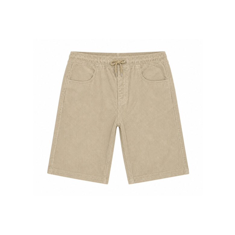 Volcom short vert 1