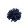 Essentiel broche blauw 1