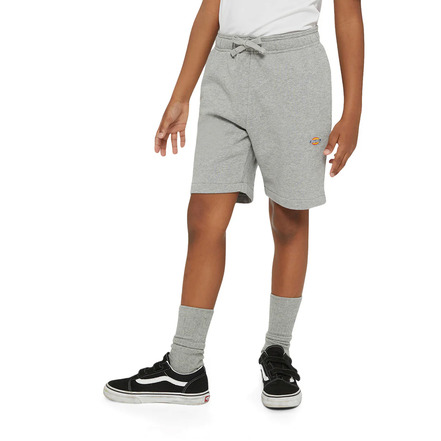 Dickies short grau