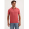 Saint Steve polo pink 2