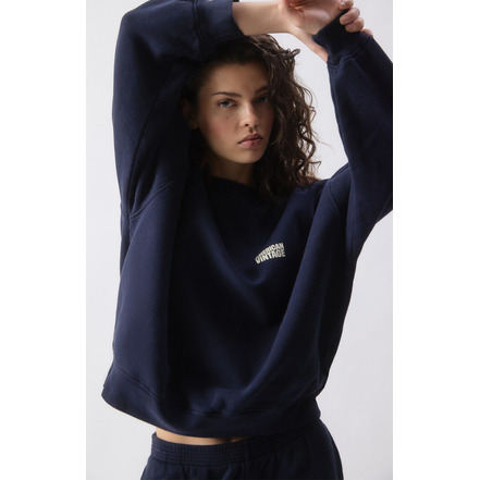 American Vintage sweater blau
