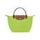 Longchamp handbag green 1