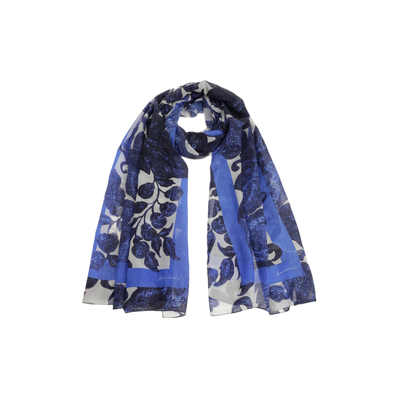 Xandres echarpe bleu 1