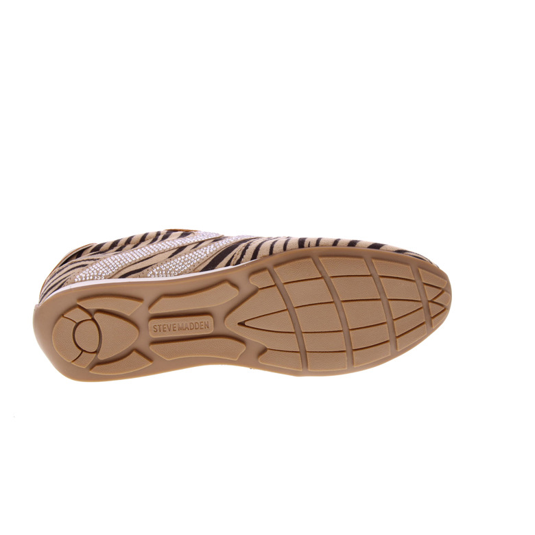 Steve Madden sneakers taupe 5