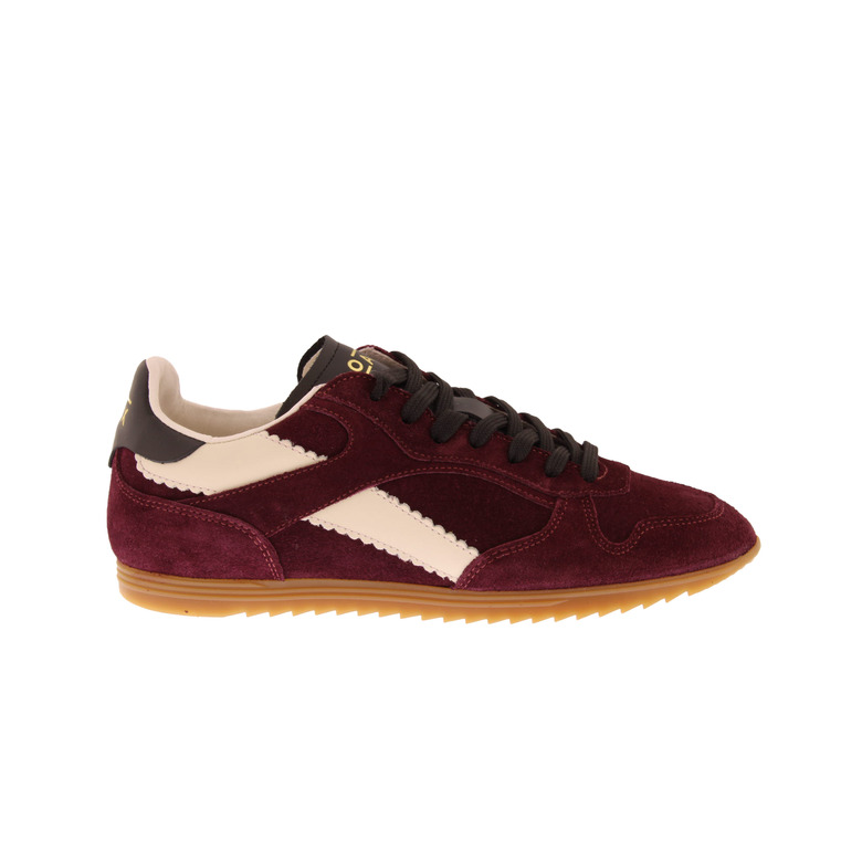 Boax Studio sneakers bordeaux 1