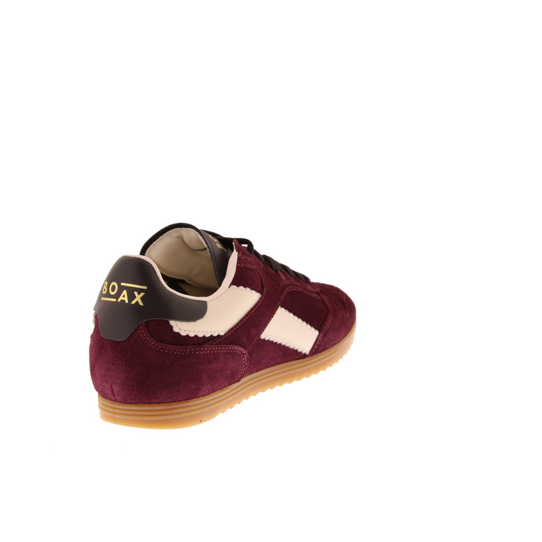 Boax Studio sneakers bordeaux 4