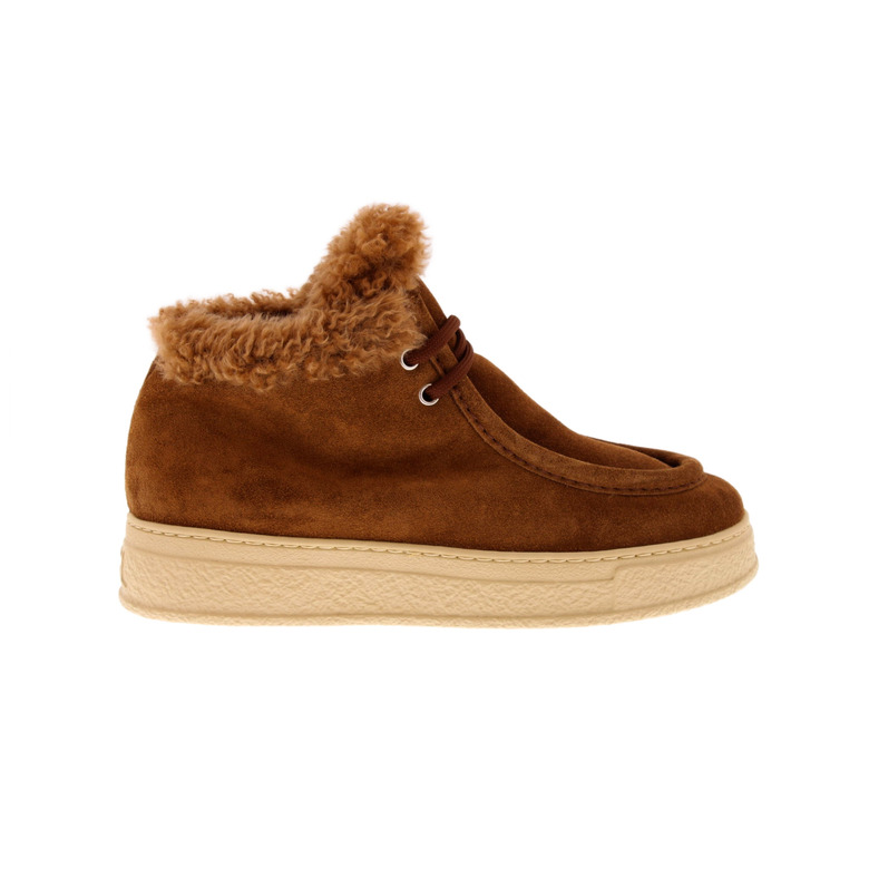 Agl lace shoes cognac 1