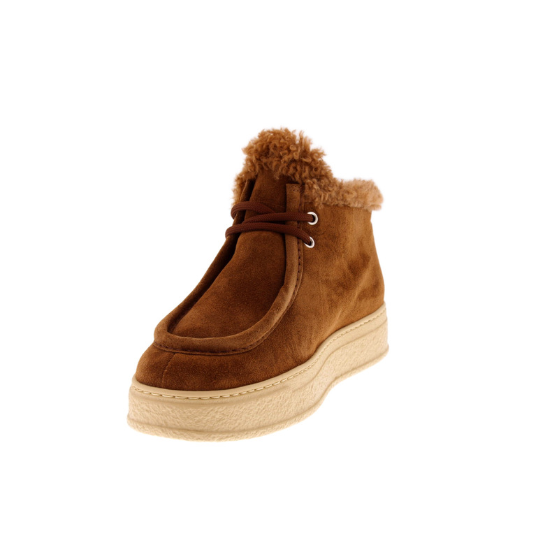Agl lace shoes cognac 3