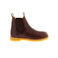 Angulus hoge schoenen bruin