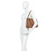 Gianni Chiarini schultertasche camel 4