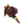 Gianni Chiarini bag charm bordeaux 2