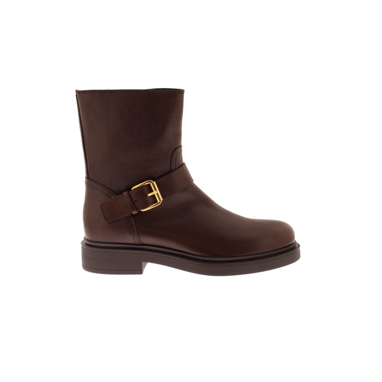 Agl bottillons brun 1