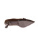 Natan pumps braun 5
