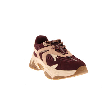 Steve Madden sneakers bordeaux