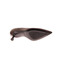 Rotta pumps brown 5