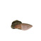 Angel Alarcon ankle boots green 5