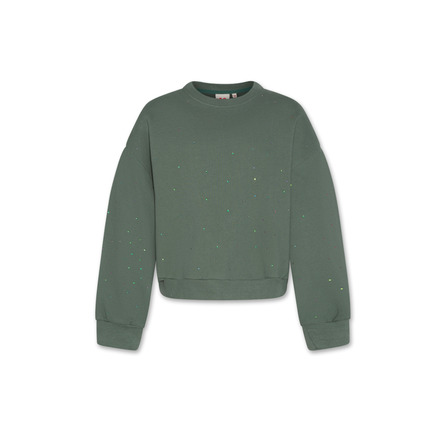 Ao76 sweater groen