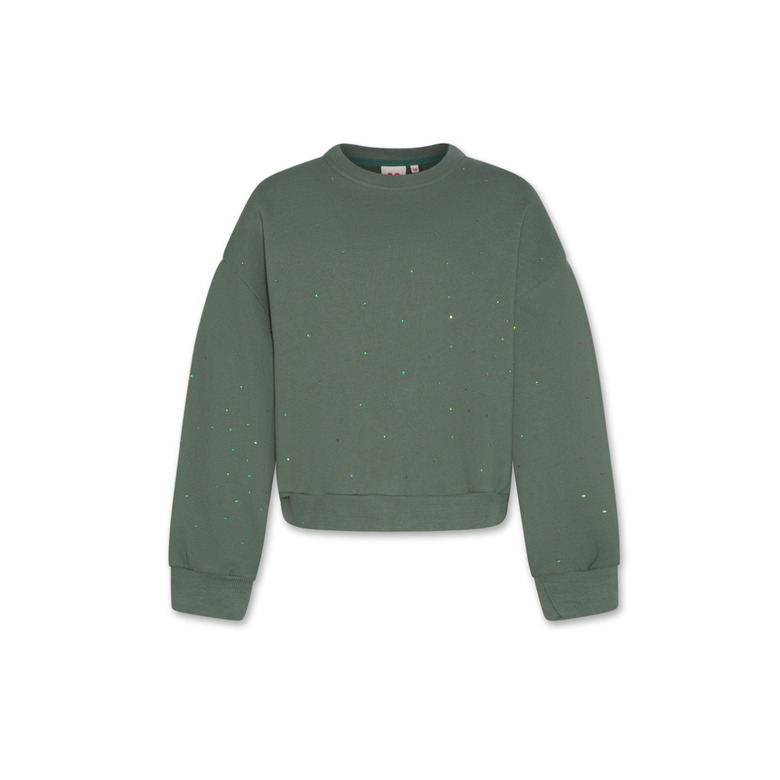 Ao76 sweater groen 1