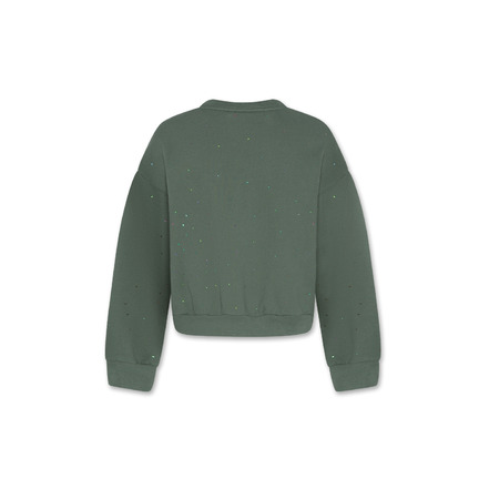 Ao76 sweater groen