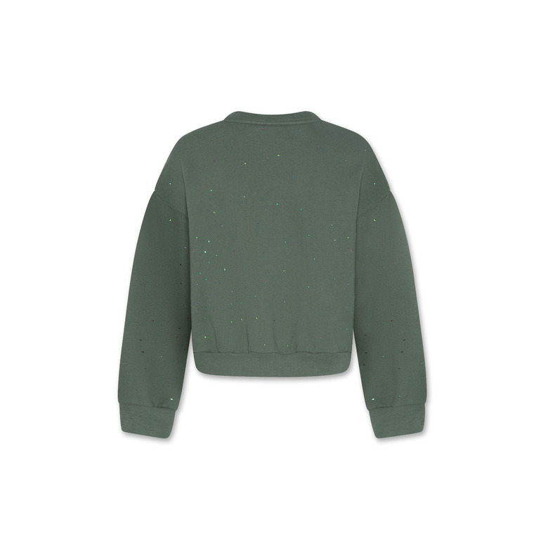 Ao76 sweater groen 2