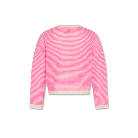 Ao76 trui roze