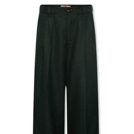 Ao76 trousers green