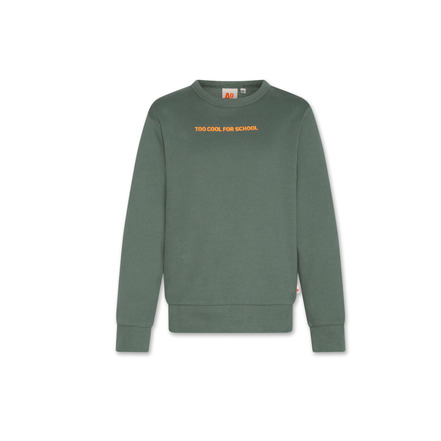 Ao76 sweater groen