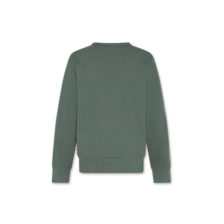 Ao76 sweater groen