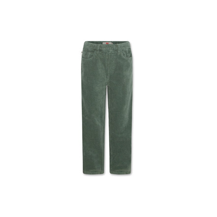 Ao76 pantalon vert