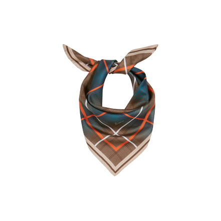 Riani sjaal multi color