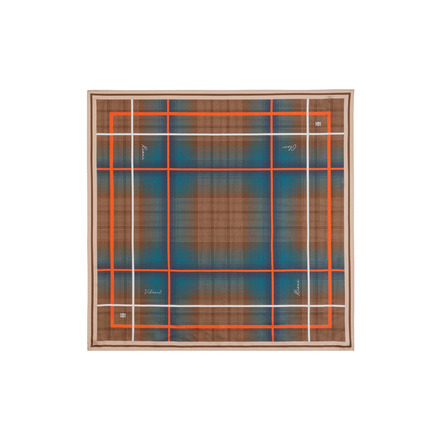 Riani sjaal multi color