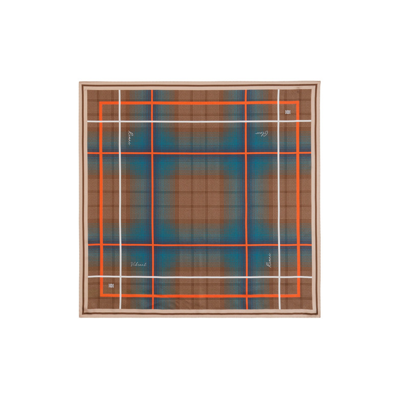 Riani sjaal multi color 2