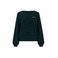 Bellerose pull vert 1