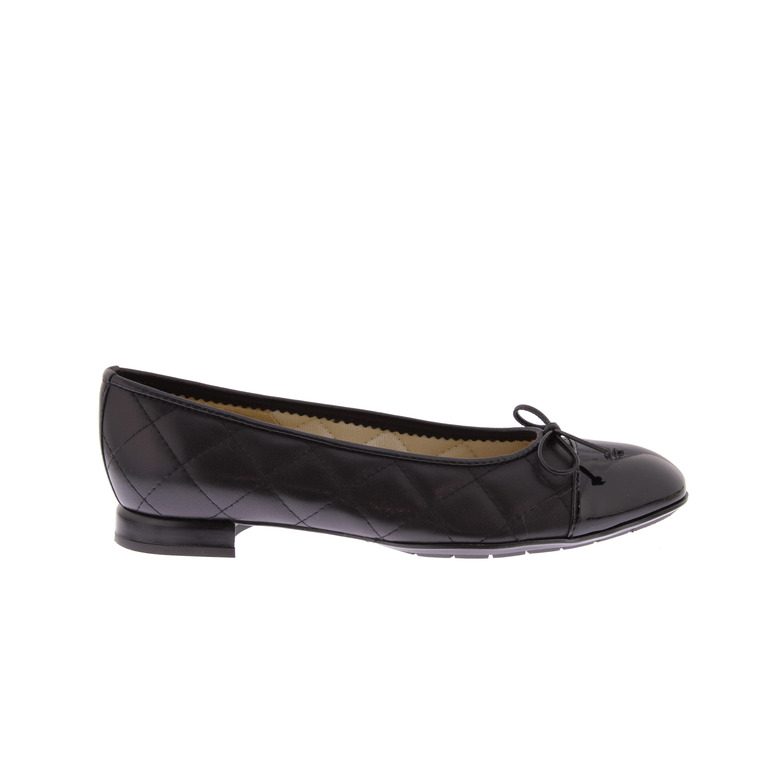Brunate ballerina's zwart 1
