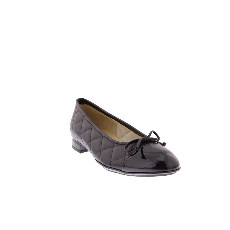 Brunate ballerina's zwart 2