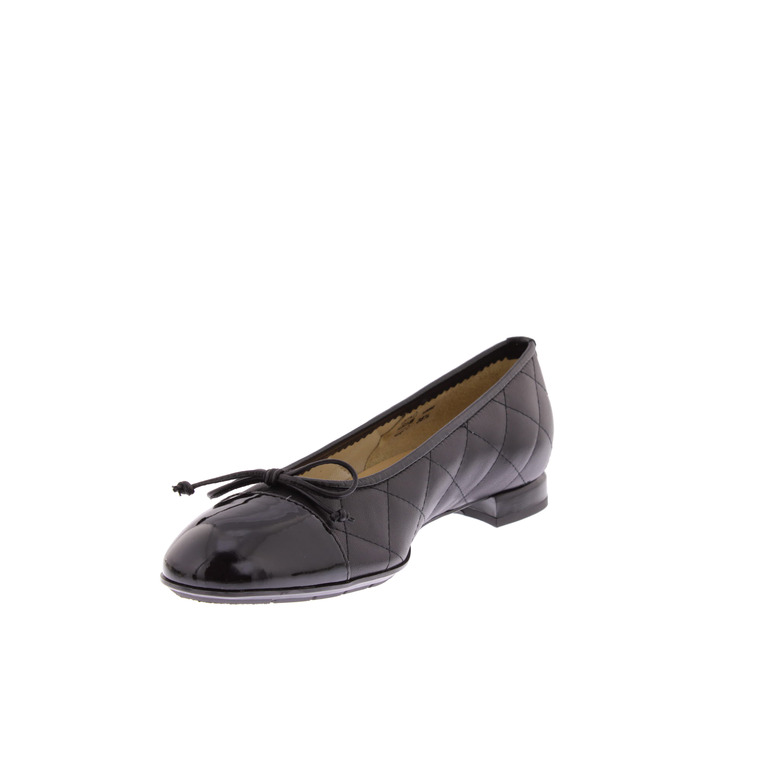 Brunate ballerina's zwart 3