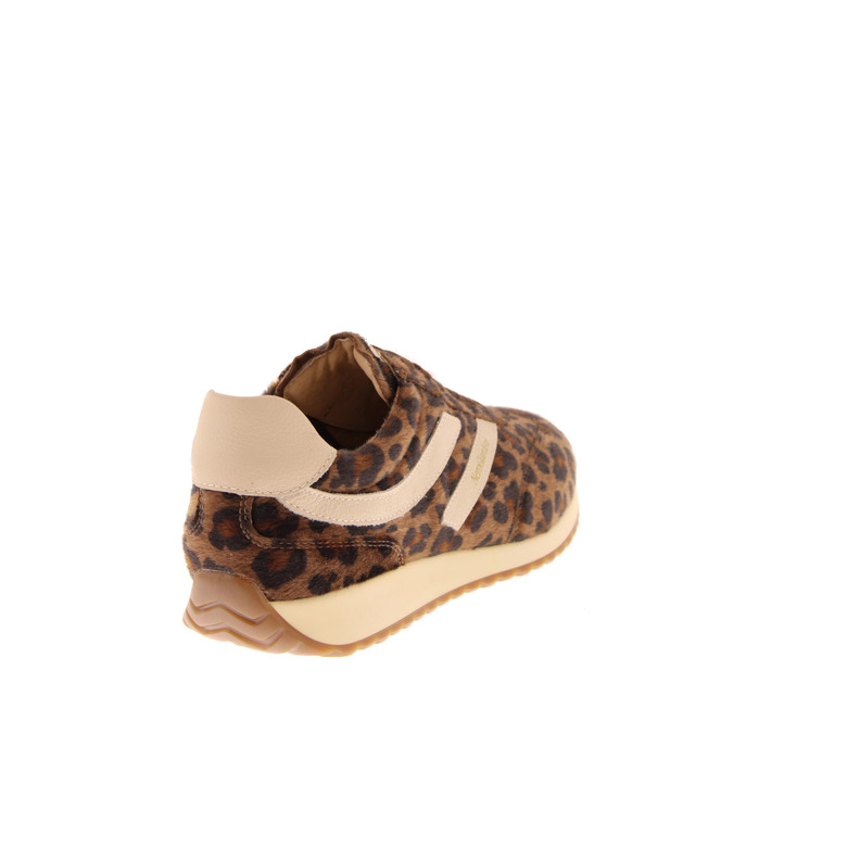 Nero Giardini sneakers braun 4