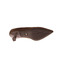 Nero Giardini pumps bruin 5
