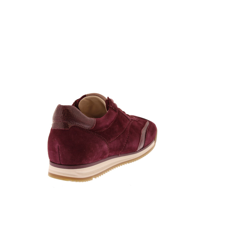 Gabor sneakers bordeaux 4