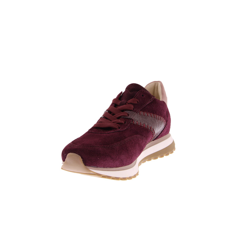 Gabor sneakers bordeaux 3