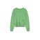 Gigue trui groen 1