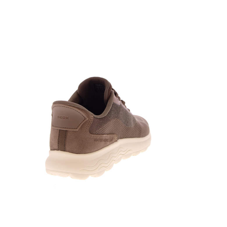 Geox sneakers taupe 4