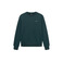 Antwrp sweater groen
