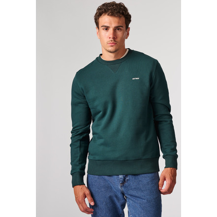 Antwrp sweater groen