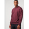 Antwrp sweater bordeaux 2